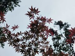 -中共五大会址纪念馆