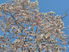 -白塘生态植物园