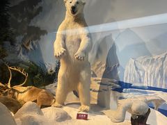 -陕西自然博物馆