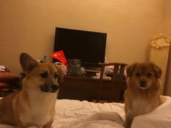 -太阳岛度假酒店