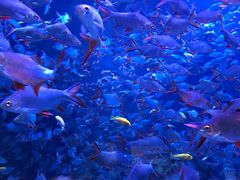 -成都浩海立方海洋公园