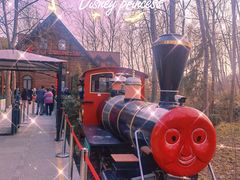 -合肥滨湖国家森林公园