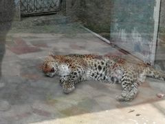 -西安秦岭野生动物园