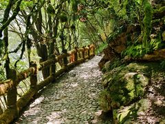 -少华山国家森林公园