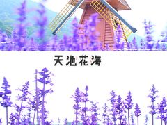 -广州市石门国家森林公园