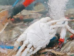 -鑫渔港海鲜本地菜·山海关浑锅(东戴河店)