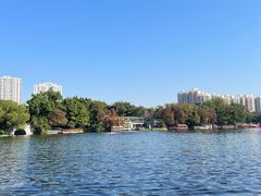 -荔湾湖公园