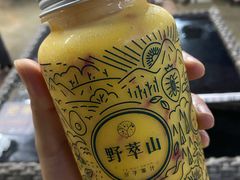 -野萃山·潮汕厚果汁(十亩地店)