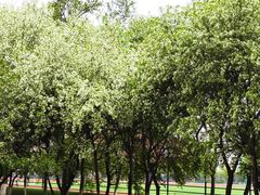 -东北大学(南湖校区)