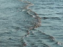 -珠海金沙滩