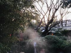 -西安国际创新人才交流中心•药浴温泉