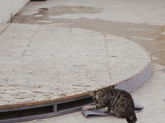 -UNI UNI(环亚凯瑟琳店)