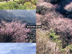 -黄河丹峡