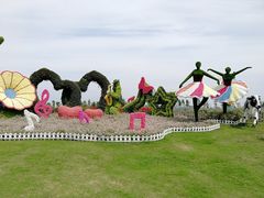 -荷兰花海