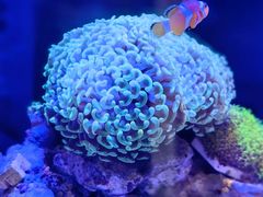 -瑞虹新天地月亮湾