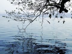 -西湖外事游船(花港观鱼码头)