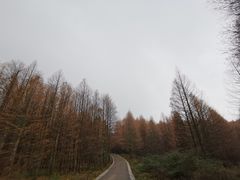 -山王坪喀斯特国家生态公园