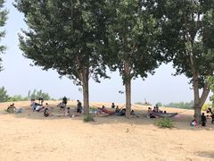 -东郊湿地公园