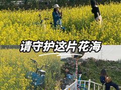 -长洲岛