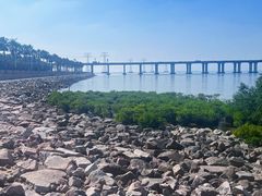 -宝安西湾红树林湿地公园