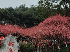 -重庆彩云湖湿地公园