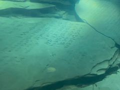 -白鹤梁水下博物馆