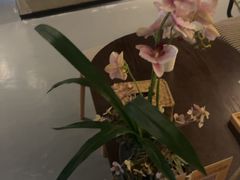 -施奈儿.洗头頭療.按摩SPA.采耳(上梅林店)