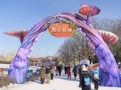 -沈阳奥体冰雪嘉年华