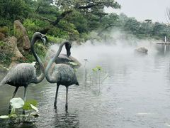 -罗红摄影艺术馆