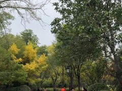 -迎泽公园