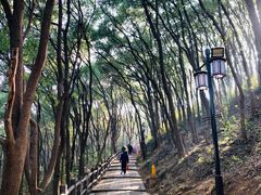 -苏州上方山国家森林公园