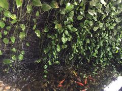 -鹅滋道(甘坑古镇店)