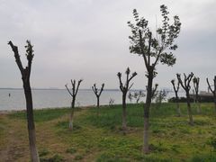 -东疆建设开发纪念公园