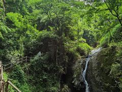 -南山植物园