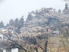 -南岳衡山风景名胜区-南岳大庙