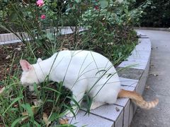 -上海长途汽车客运总站