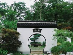 -上海共青森林公园