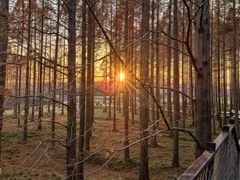 -黄海国家森林公园