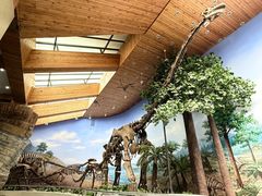 -延庆地质公园博物馆