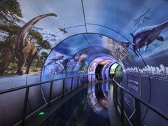 -房山世界地质公园博物馆