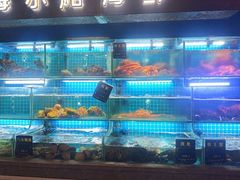 -鸽子侯·家宴·平价海鲜(市图书馆店)