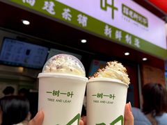 -一树一叶·福建茶档(石鼓路店)