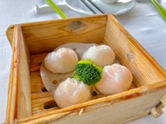 -侨美·唐荔园·40年地道粤菜