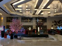 -北京首都机场希尔顿酒店