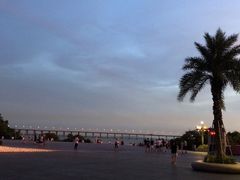 -宝安西湾红树林湿地公园