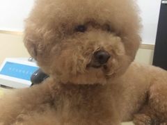 -佳雯宠物医院(四明中路分院)