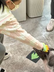 点击看大图 -神奇动物撸宠馆·羊驼·小浣熊·异宠(豫园店)