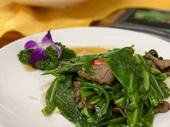 台湾山苏炒牛肉-德云居