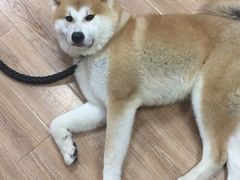 -YCHL Studios健身工作室(市二宫店)