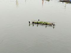 -新安江山水画廊风景区